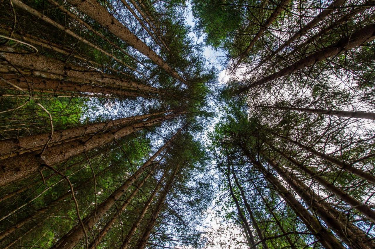 Heimat - Das Natur Resort Prägraten Esterno foto